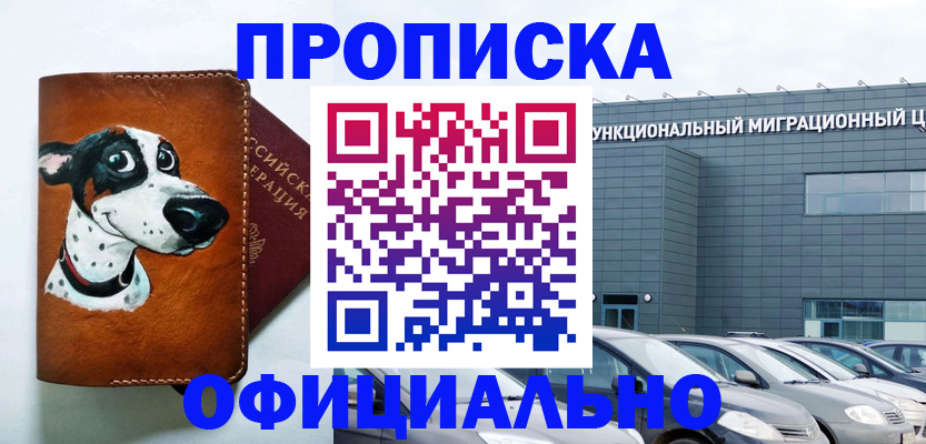 временная прописка в Суворове